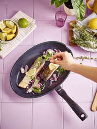 Energy non-stick fish pan 
