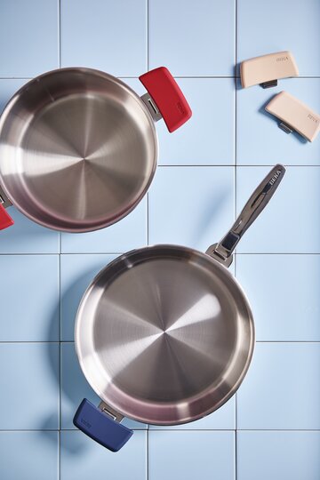 Evolution braadpan