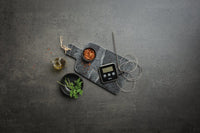 ThermoMEATer